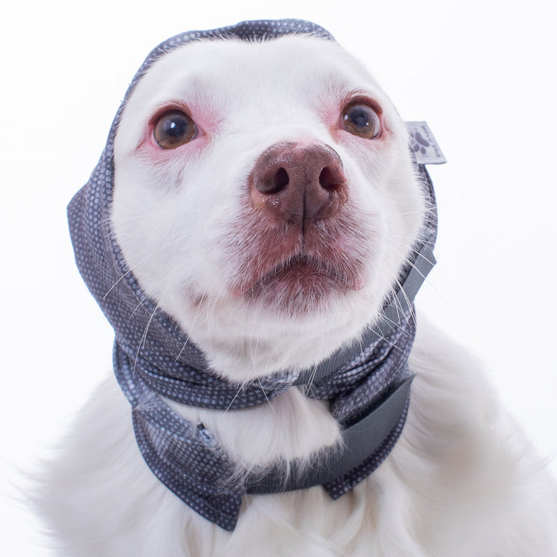 Roupa Pet Med Oto Calm Protector para Cães Cinza