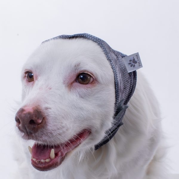 Roupa Pet Med Oto Calm Protector para Cães Cinza